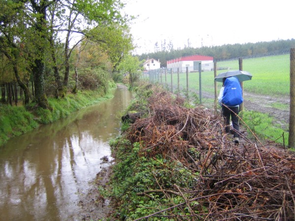 Camino inundado por la lluvia