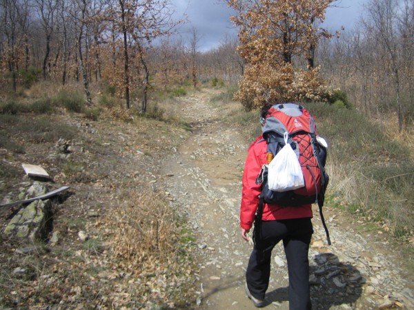 Subiendo a Rabanal del Camino