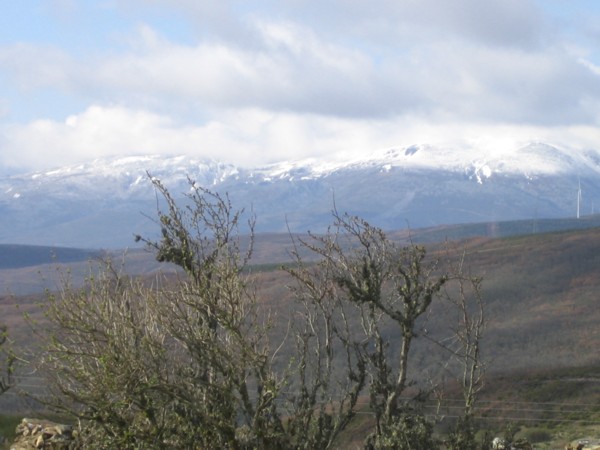 Montes de León nevados