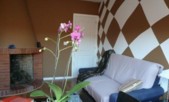Apartamentos Casco Antiguo de Candeleda