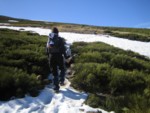 Subiendo entre la jara