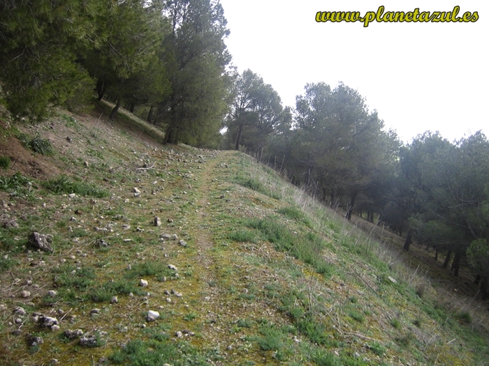 Puerto de Pandetrave - Refugio de Collado Jermoso