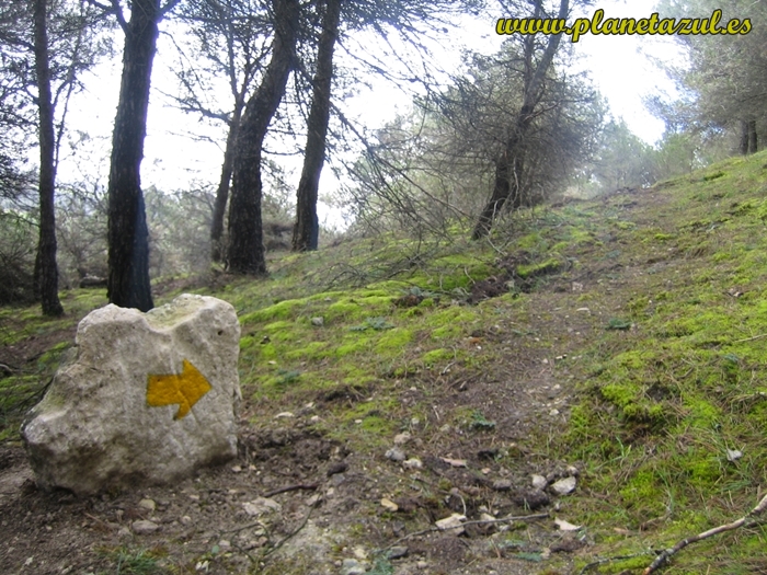 Puerto de Pandetrave - Refugio de Collado Jermoso