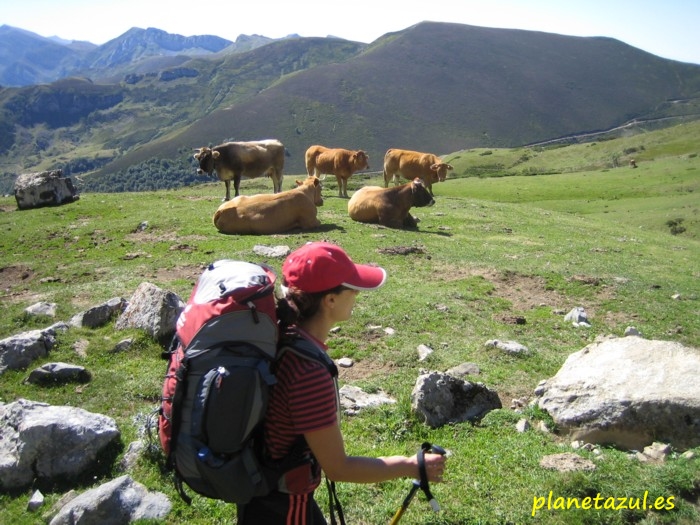 Puerto de Pandetrave - Refugio de Collado Jermoso- Refugio Urriello