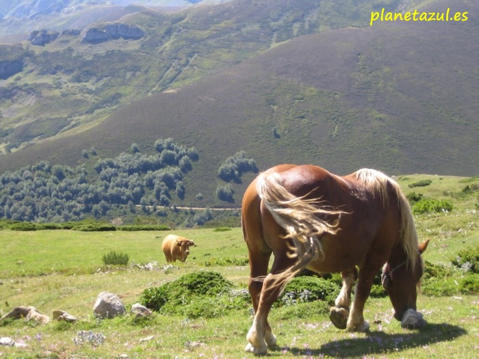 Puerto de Pandetrave - Refugio de Collado Jermoso