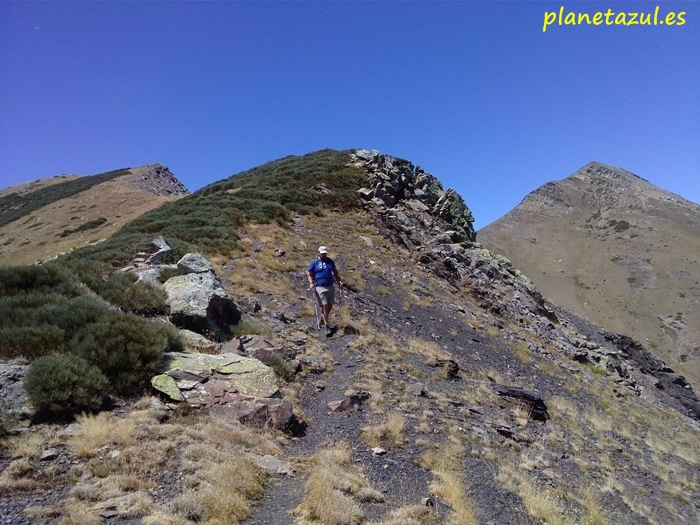 Pico Murcia