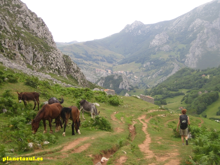 Sotres - Refugio Urriellu