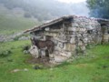 Vega de Ario desde los Lagos de Covadonga