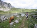 Vega de Ario desde los Lagos de Covadonga